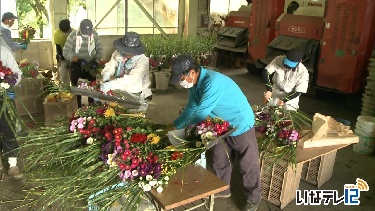 南箕輪村農業経営者協議会　盆花販売へ準備