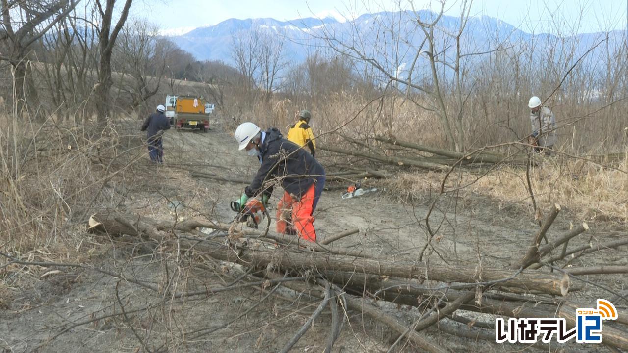 三峰川みらい会議 木の伐採作業
