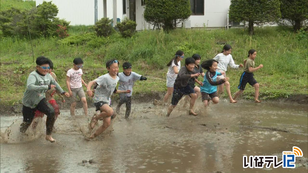手良小児童　代搔きを兼ねた泥遊び