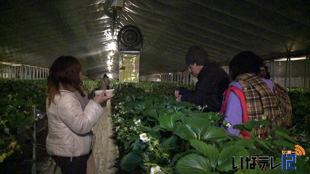 年始の話題　カウントダウンで新年幕開け祝う