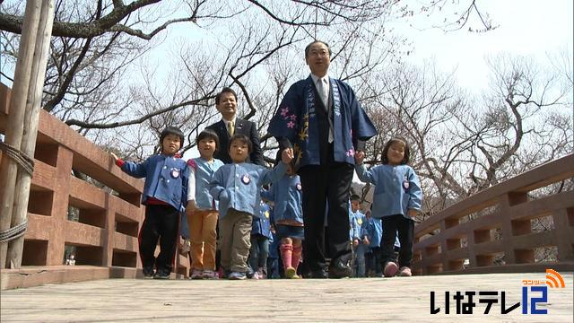 高遠城址公園で開花宣言