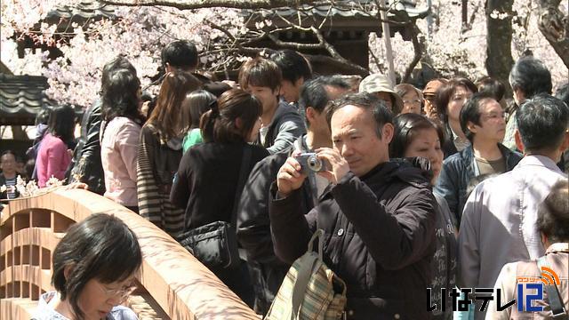 花見客の入り込みピーク