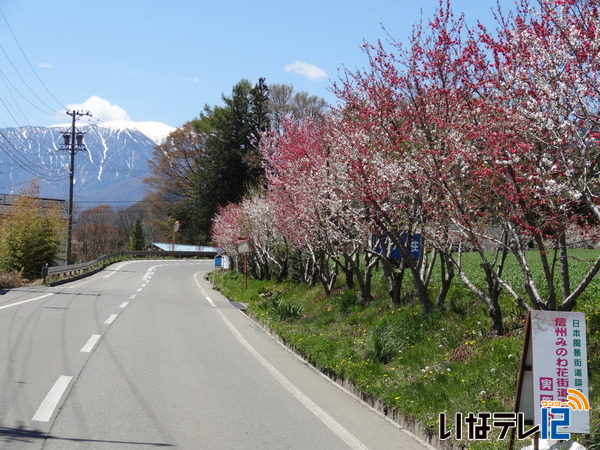 ふるさとの四季フォトコンテスト　最高賞に山崎さん