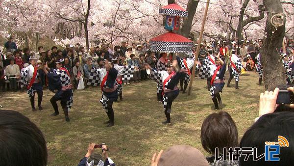 踊り、さくら茶で花見ムード盛り上げ