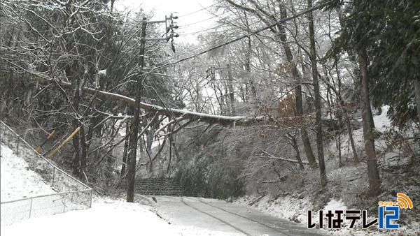 伊那地域も大雪　生活に影響