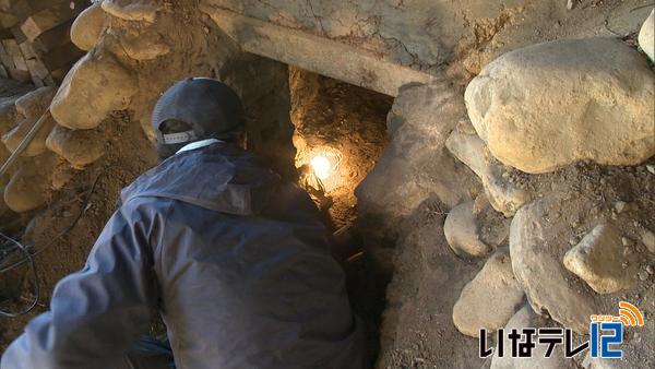 天竜川河川敷で雑木の伐採作業