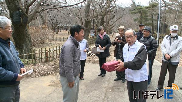 熱気球で高遠の桜を