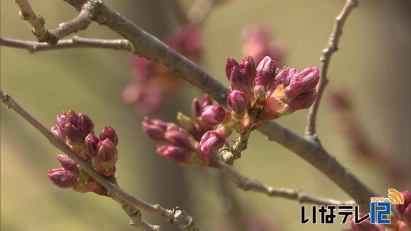 最高気温２０度近くまで上がり　４月下旬並み