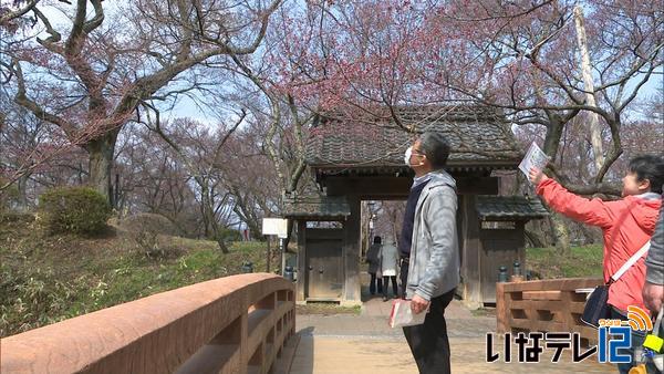 花見客を「高遠石工」でおもてなし