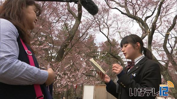 高遠城址公園　高校生が花見客をおもてなし