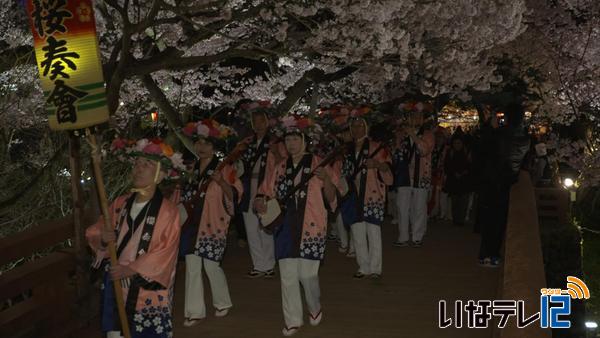 満開の高遠城址公園　花見ムード盛り上げ