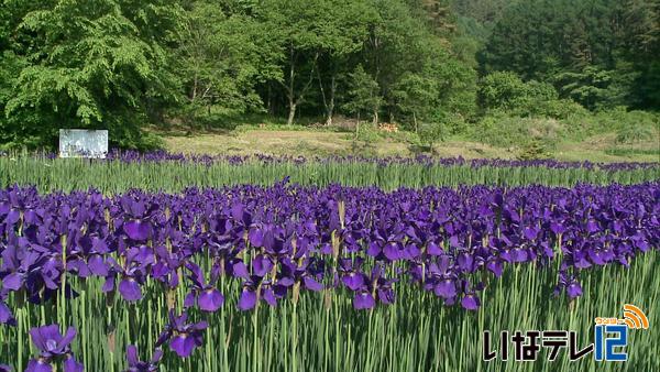 伊那地域で今年一番の暑さ 最高気温３１．７℃