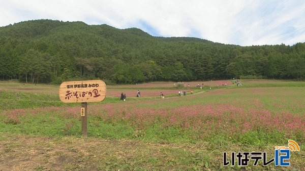 箕輪町で古田の里赤そば花まつり