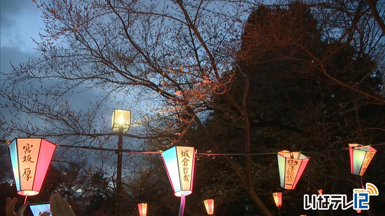 伊那公園の桜 開花宣言！