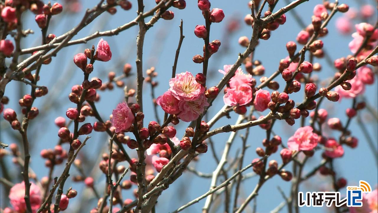「立春」３月中旬並みの気候