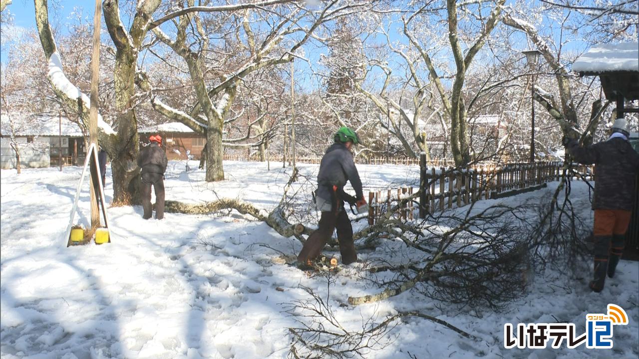 市内で雪による倒木・停電