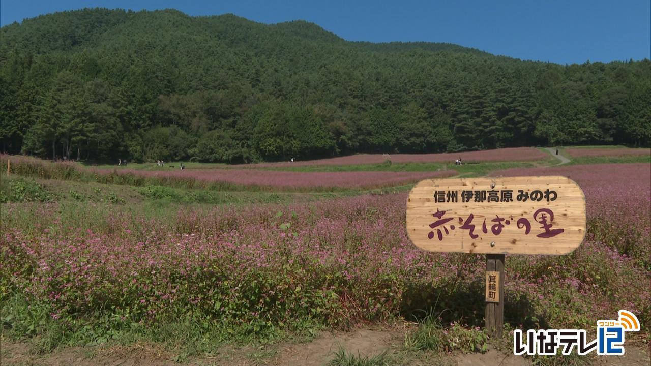 もみじ湖紅葉祭りの来場者数５２，０００人