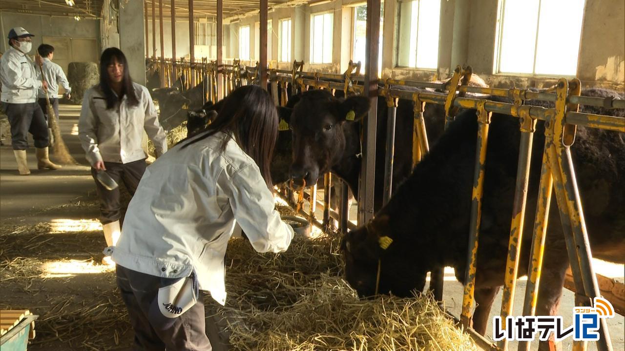 上農高校　牛飼料に菌床で全国大会へ