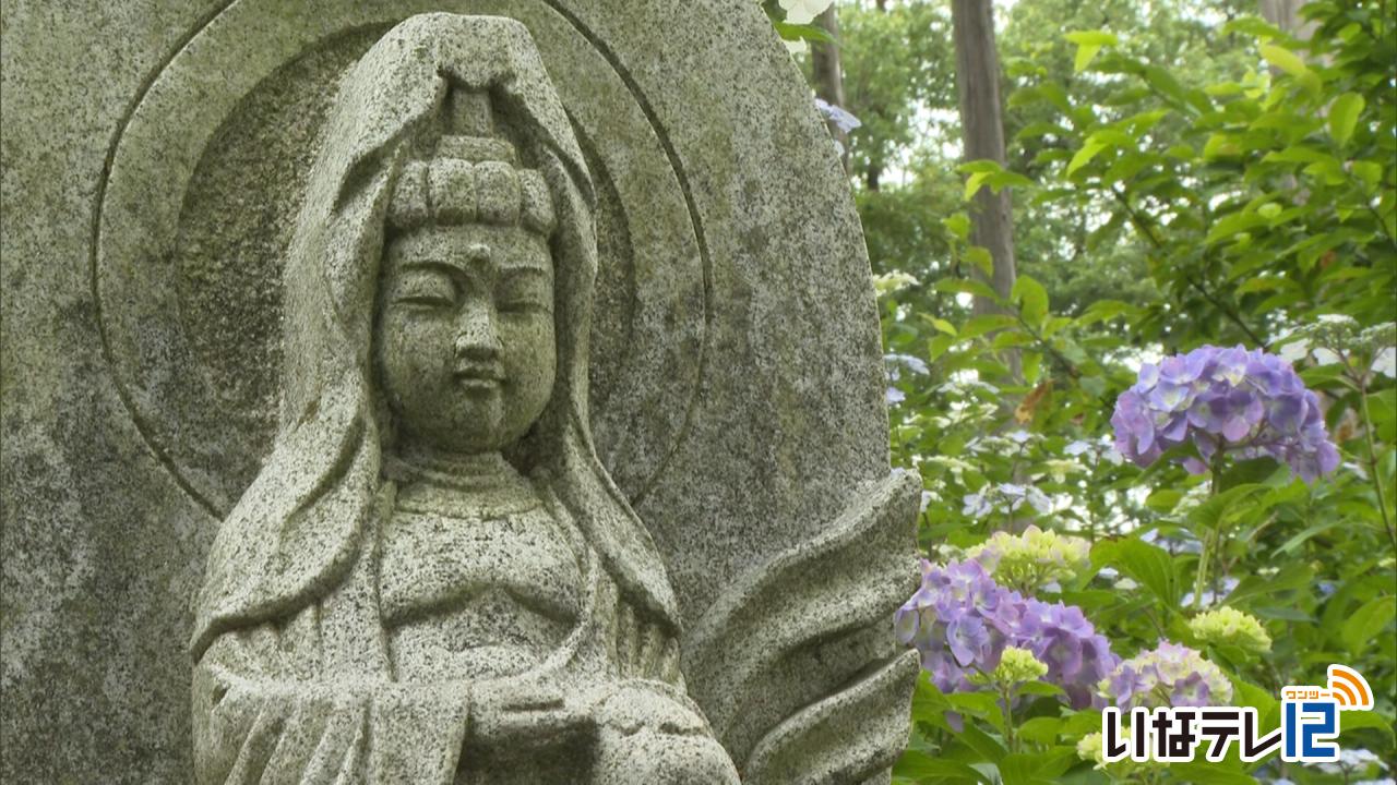 「あじさい寺」深妙寺 多くの人でにぎわう