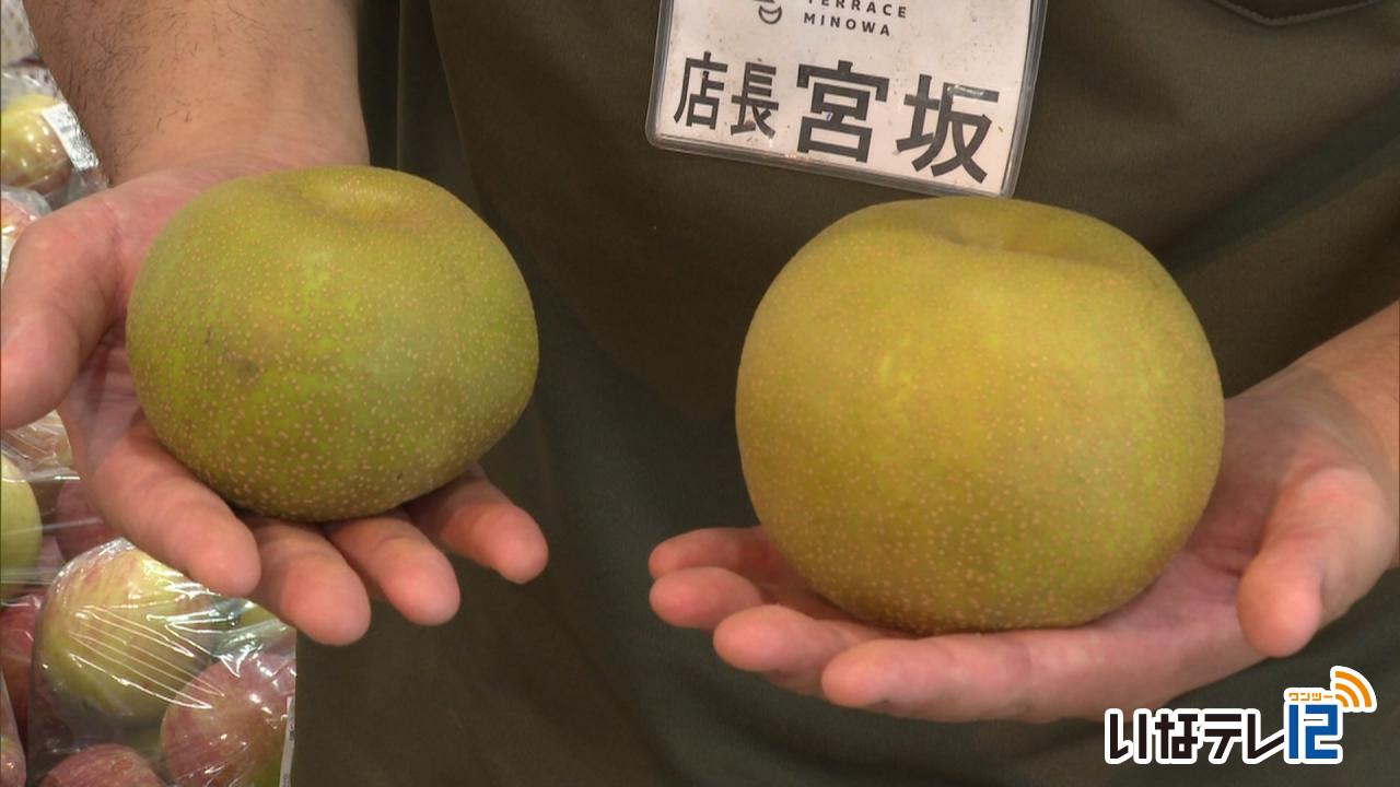 暑さ続く 秋の味覚に影響