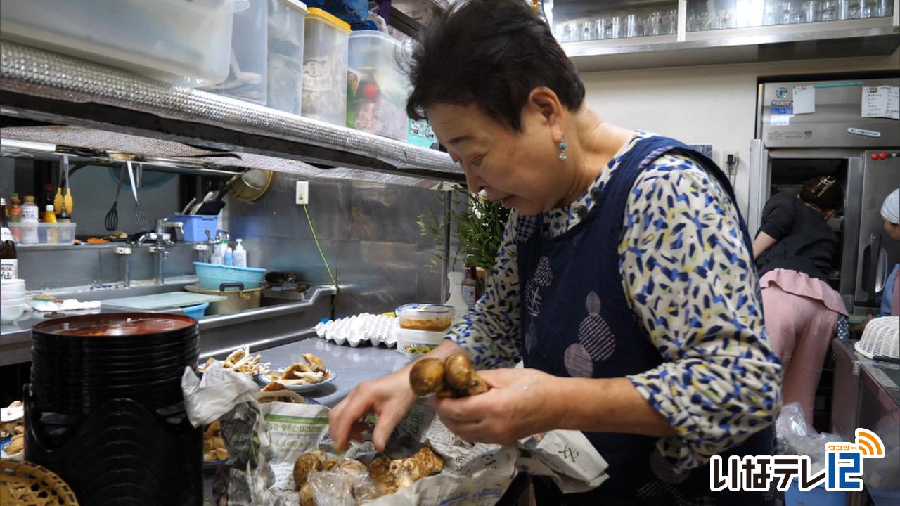 秋の味覚マツタケ　ようやくお目見え