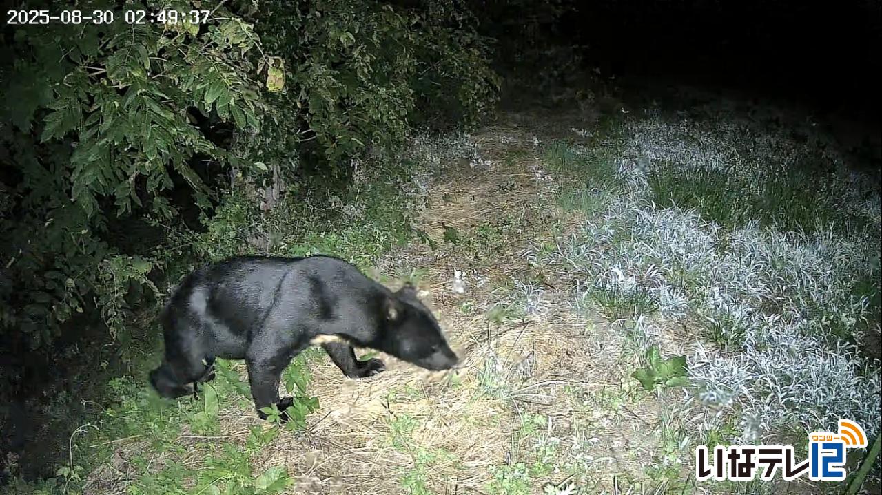 箕輪町　ソーラーウィーク大賞優秀賞