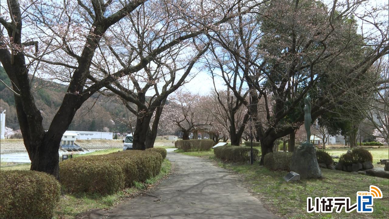 桜の開花情報