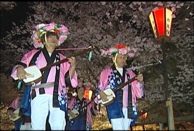 高遠城址公園　桜満開