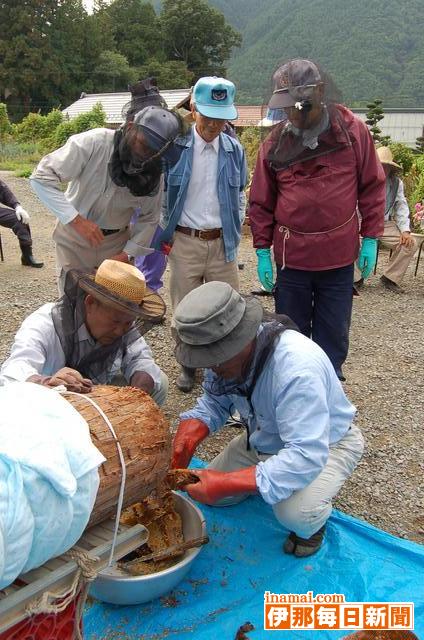 入野谷日本蜜蜂の会がみつ採取に新たな方法