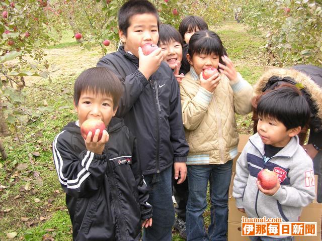 宮田村でリンゴオーナー収獲祭