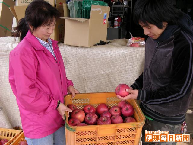 宮田のリンゴを紅茶とミックス<br>日福大学生が製品化目指して研究着手