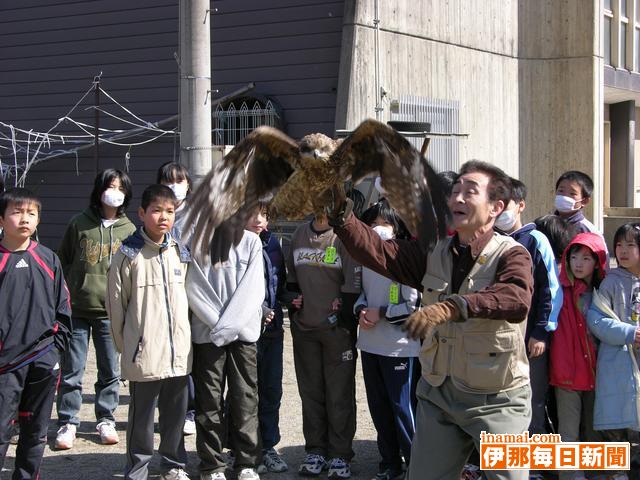 宮田小学校でトビの放鳥、卒業控えた6年のやさしさに応え