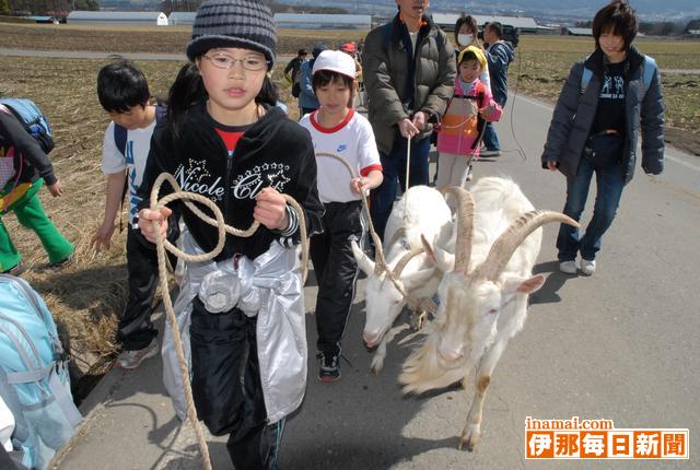 伊那小3年秋組　飼育してきた5頭のヤギと別れ