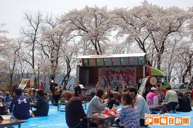 桜満開の伊那公園でイベント
