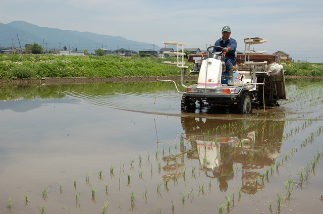まっくんファーム有機栽培研究会が有機肥料米栽培を開始