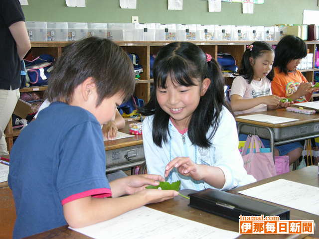 赤穂東小学校カイコ飼育教室