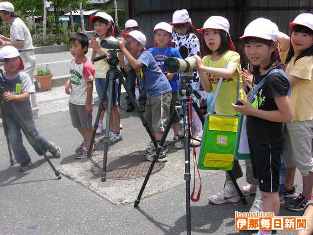 ツバメの生活見て感じて、宮田小2年2組