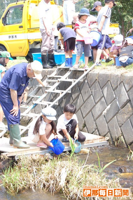 第20回川シンポジウムできれいになった川へアマゴを放流