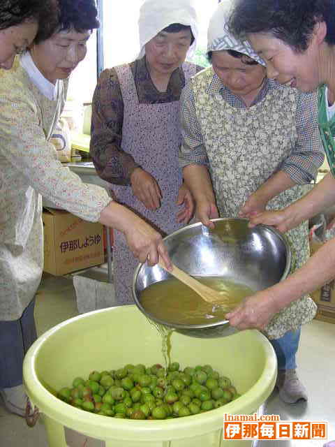 おいしい梅漬け、研究しながら