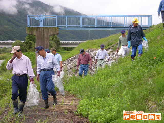 駒ケ根天竜川河川愛護連絡会が美化活動