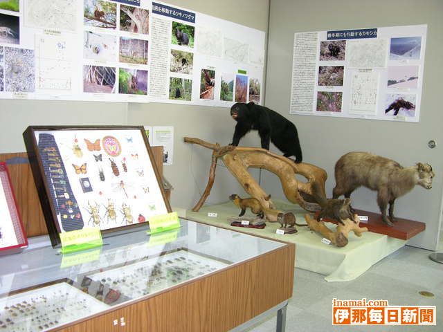 駒ケ根の生き物たち展