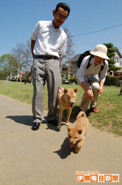 伊那市で北海道犬活用した野生動物の追い払い事業が始動