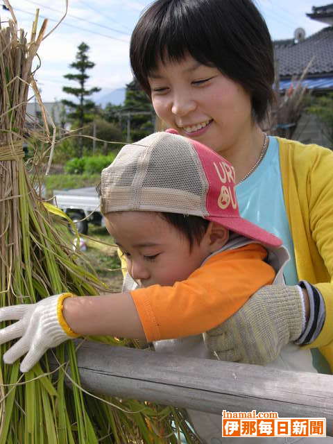 かかし隊が稲刈り