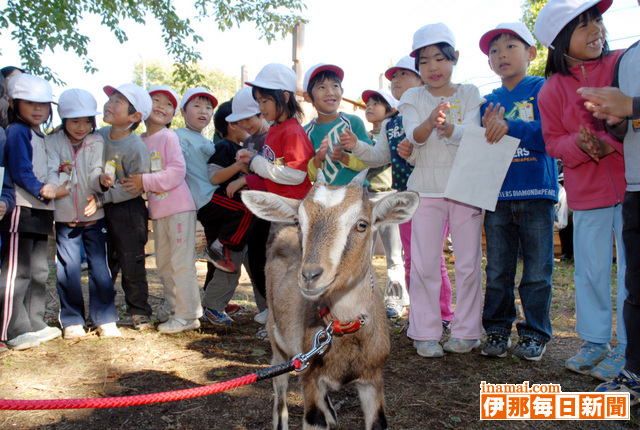 手良小1年　子ヤギの飼育に向け熱意