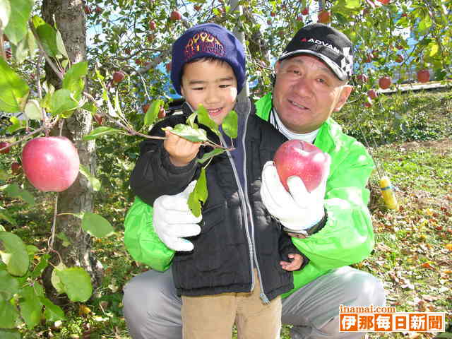宮田村のリンゴオーナー収獲祭、中京圏から約2千人