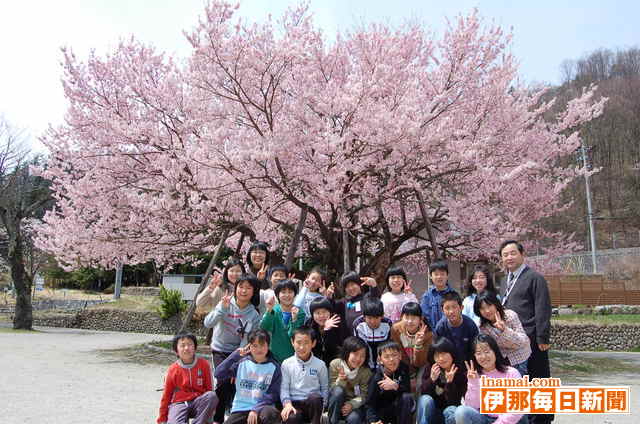 中川西小の百年桜が満開で記念写真