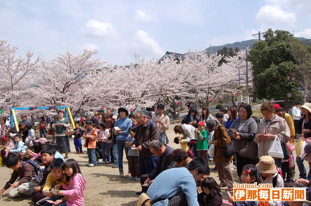 大草城址公園で桜祭り