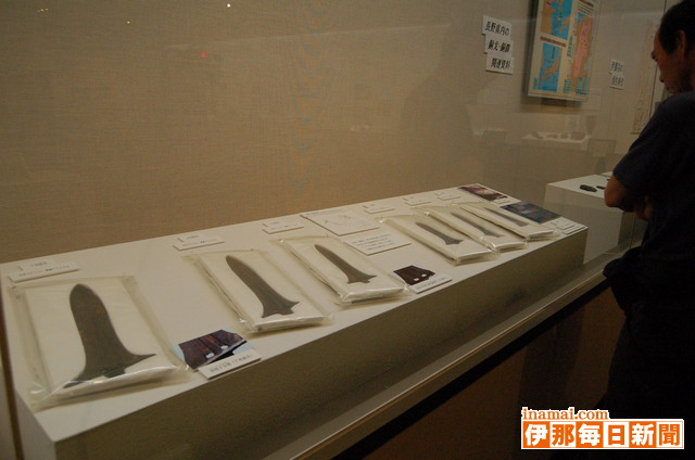 長野県埋蔵文化財センター速報展「長野県の遺跡発掘2008」