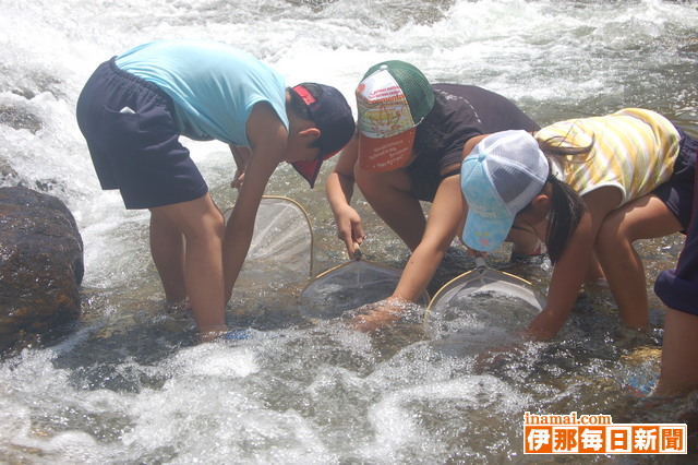 小・中学生が藤沢川などで水生生物や水質を調査