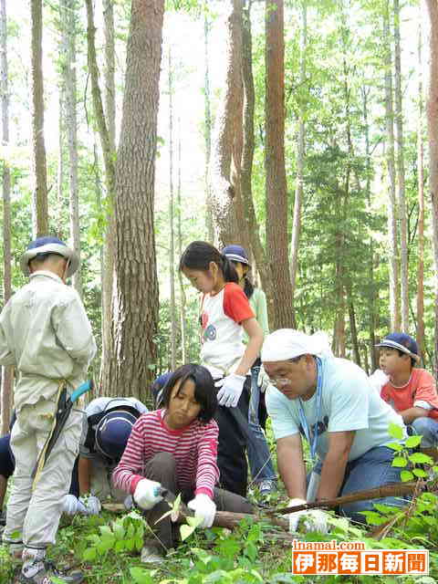 新宿の児童が林業体験